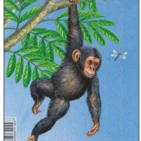 Puzzle Cadre - Petit Singe