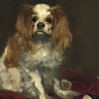 Edouard Manet : Un Cavalier King Charles Spaniel, 1866