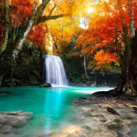 Cascade dans la Forêt