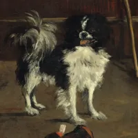 Edouard Manet : Tama : Le Chien Japonais, 1875