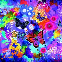 Fleurs et Papillons Colorés