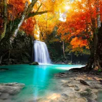 Cascade dans la Forêt