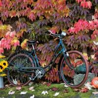 Automne