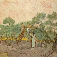 Van Gogh Vincent : Femmes ramassant des Olives, 1889