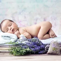 Konrad Bak: Baby Lavender