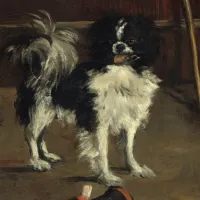 Edouard Manet : Tama : Le Chien Japonais, 1875