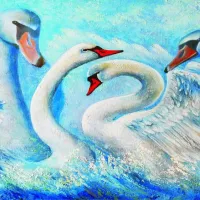 Cygnes