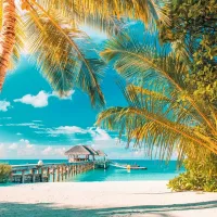 Levente Bodo - Plage Paradisiaque