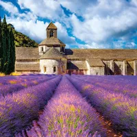 Abbaye Notre-Dame de Sénanque