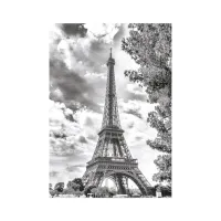 Tour Eiffel Noir et Blanche