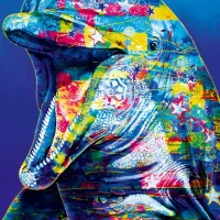 Dolphin