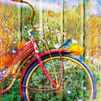 Bluebirds on a Bicycle