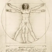 Leonard De Vinci - The Vitruvian Man, 1490