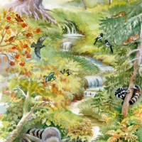Forest Animals
