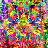 Wonderful Cat