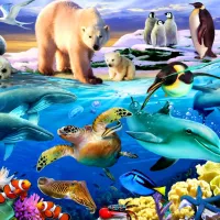 Oceans of Life