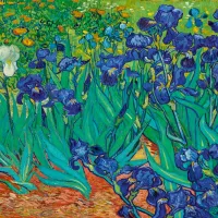 Vincent Van Gogh - Irises, 1889