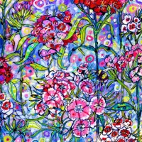 Sweet William