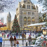 Skating Outside Natural History Museum