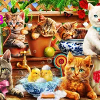 Kittens in the Potting Shed