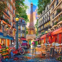 Paris Street