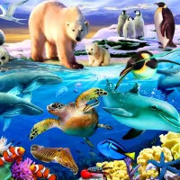 Oceans of Life
