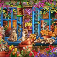 Chats sur le Rebord de la Fenêtre