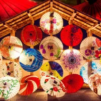 Japanese Umbrellas