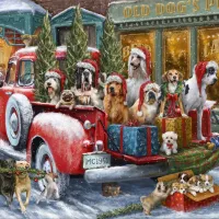 Dogs on Truck
