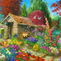 The Garden Shed