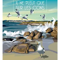 En BRETAGNE Il ne pleut que sur les Cons