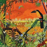 Toucan Ariel