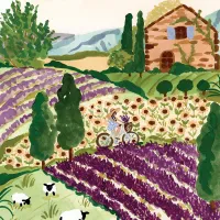 Provence