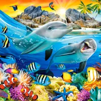 Dauphins dans les Tropiques