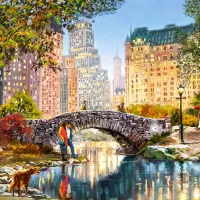 Promenade Nocturne dans Central Park