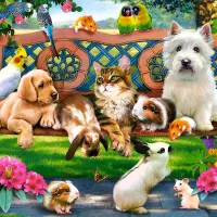 Animaux dans le Parc