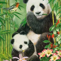 Brunch des Pandas