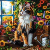 Blooming Cat Meditation