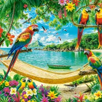 Exotic Place For You
