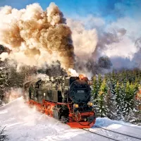 Train à Vapeur