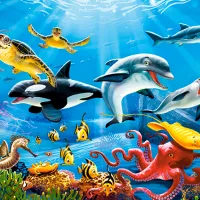 Tropical Underwater World