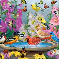 Rythme de la Nature