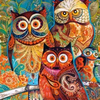 David Galchutt : Hiboux