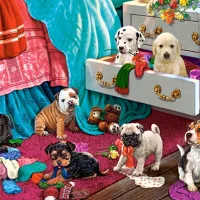 Puppies in the Garden