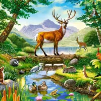 Woodland Harmony