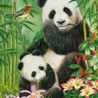 Brunch des Pandas
