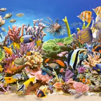 La Vie Sous-Marine