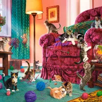 Chatons Coquins