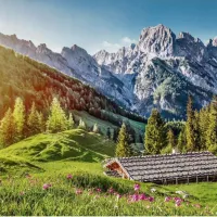 Été dans les Alpes