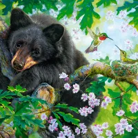 L'Ours et les Colibris
